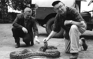 P. Armando with a python